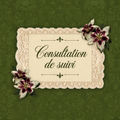 Consultation Suivi - Rendez-vous 1h (en visio ou à domicile)